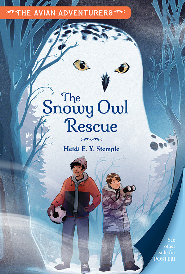 snowy-owl-rescue