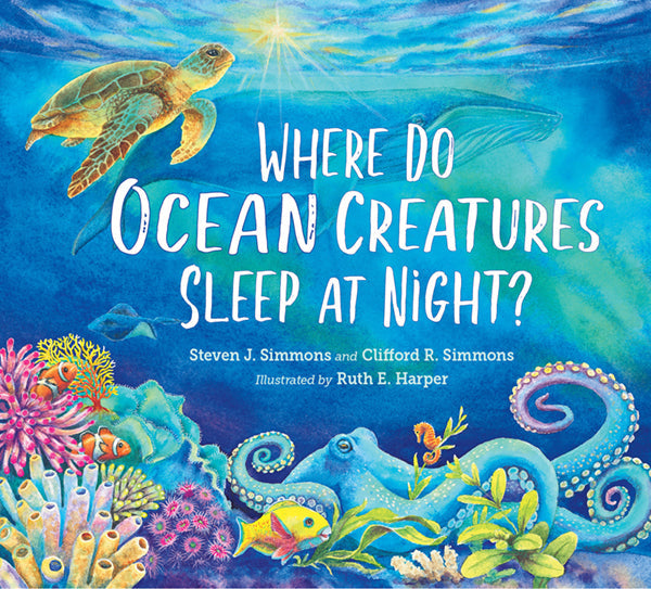 Where Do Ocean Creatures Sleep at Night?