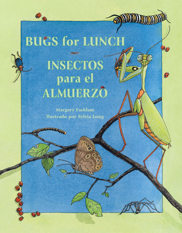 Insectos para el almuerzo/Bugs for Lunch