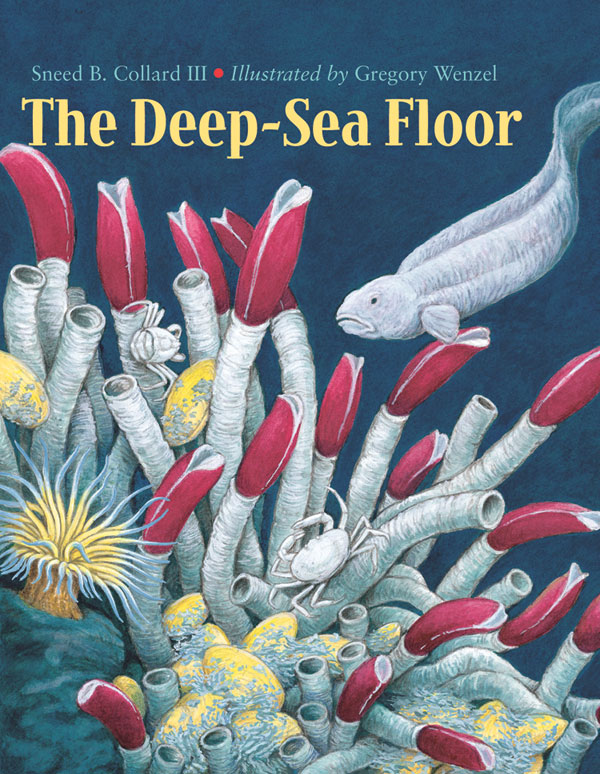 The Deep-Sea Floor