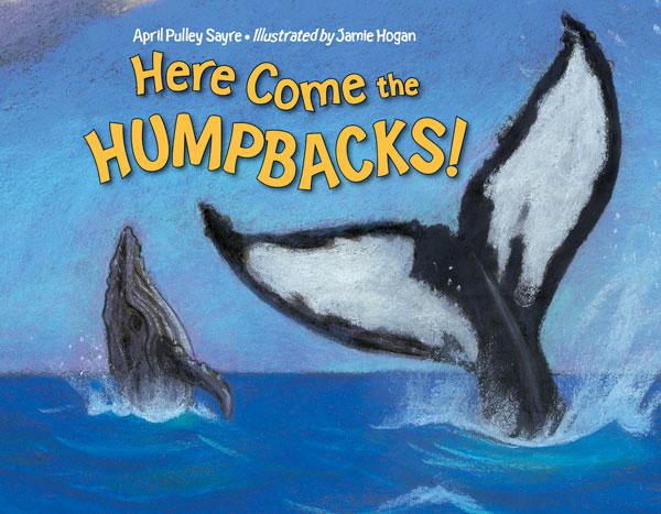 Here Come the Humpbacks!