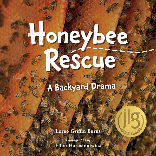 honeybee-rescue
