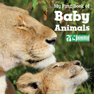 My First Book of Baby Animals book cover
