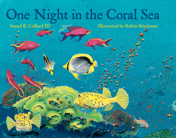 One Night in the Coral Sea