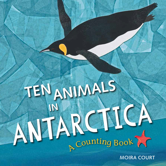 Ten Animals in Antarctica